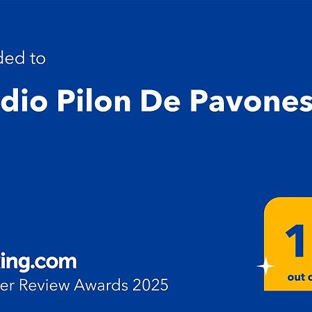 Studio Pilon De Pavones Esterno foto