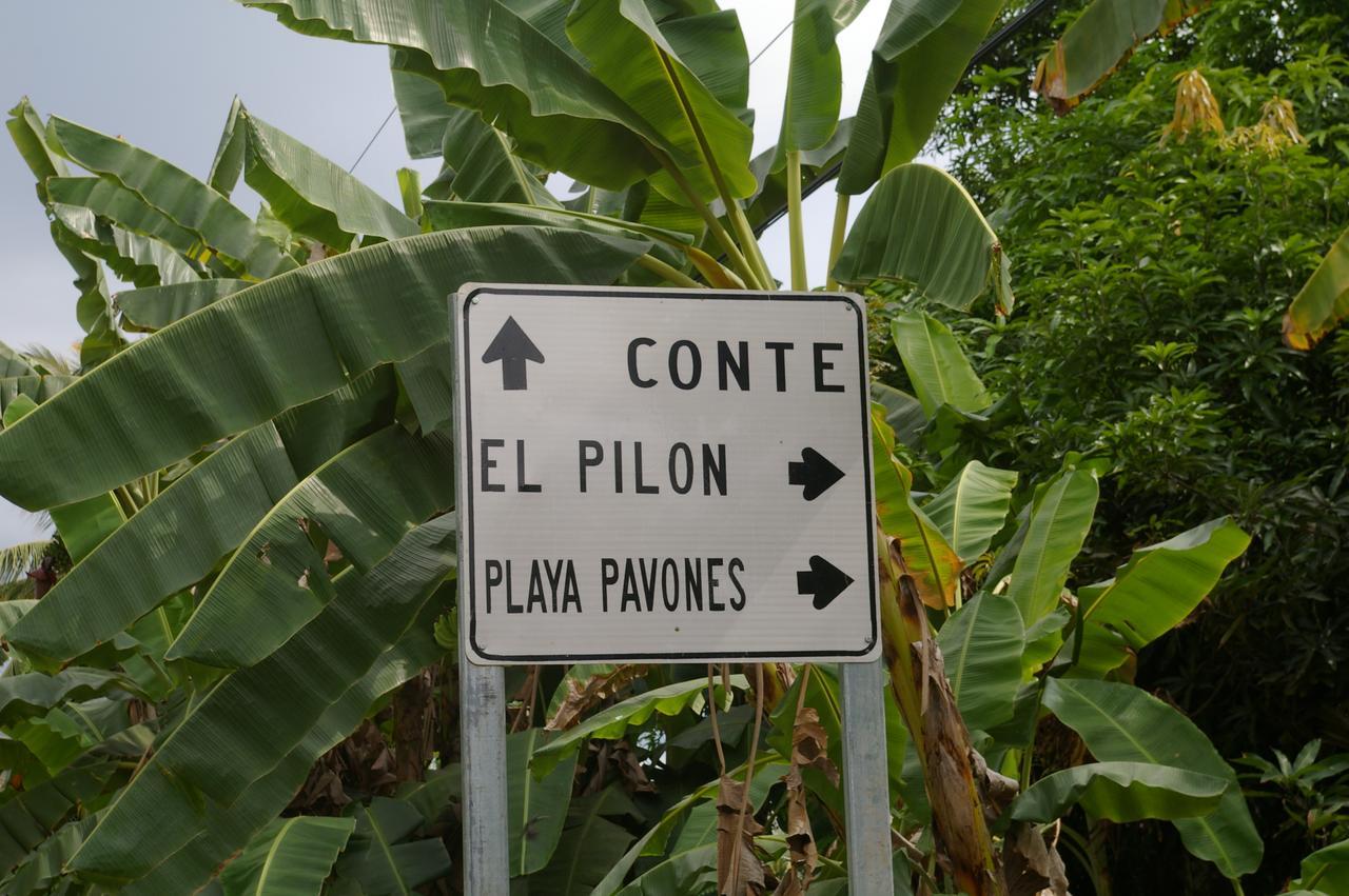 Studio Pilon De Pavones Esterno foto